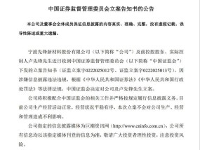 刚“摘帽”不到两月，先锋新材前实控人卢先锋遭证监会立案