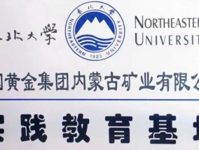 格栅板脱落坠入浮选槽，6名大学生在选矿厂不幸溺亡！溺亡者同学：里面是矿浆，人掉进去动不了